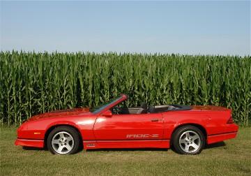 Fuzzy - 1986 Camaro IROC-Z convertible