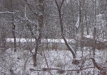 2009 Wyanet, Illinois Train Wreck