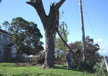 2010 Magnolia, Illinois Tornado pictures